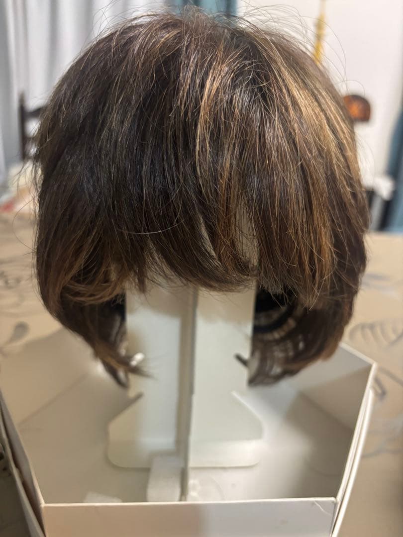 フォンテーヌ　フルウィッグ（説明書付き）