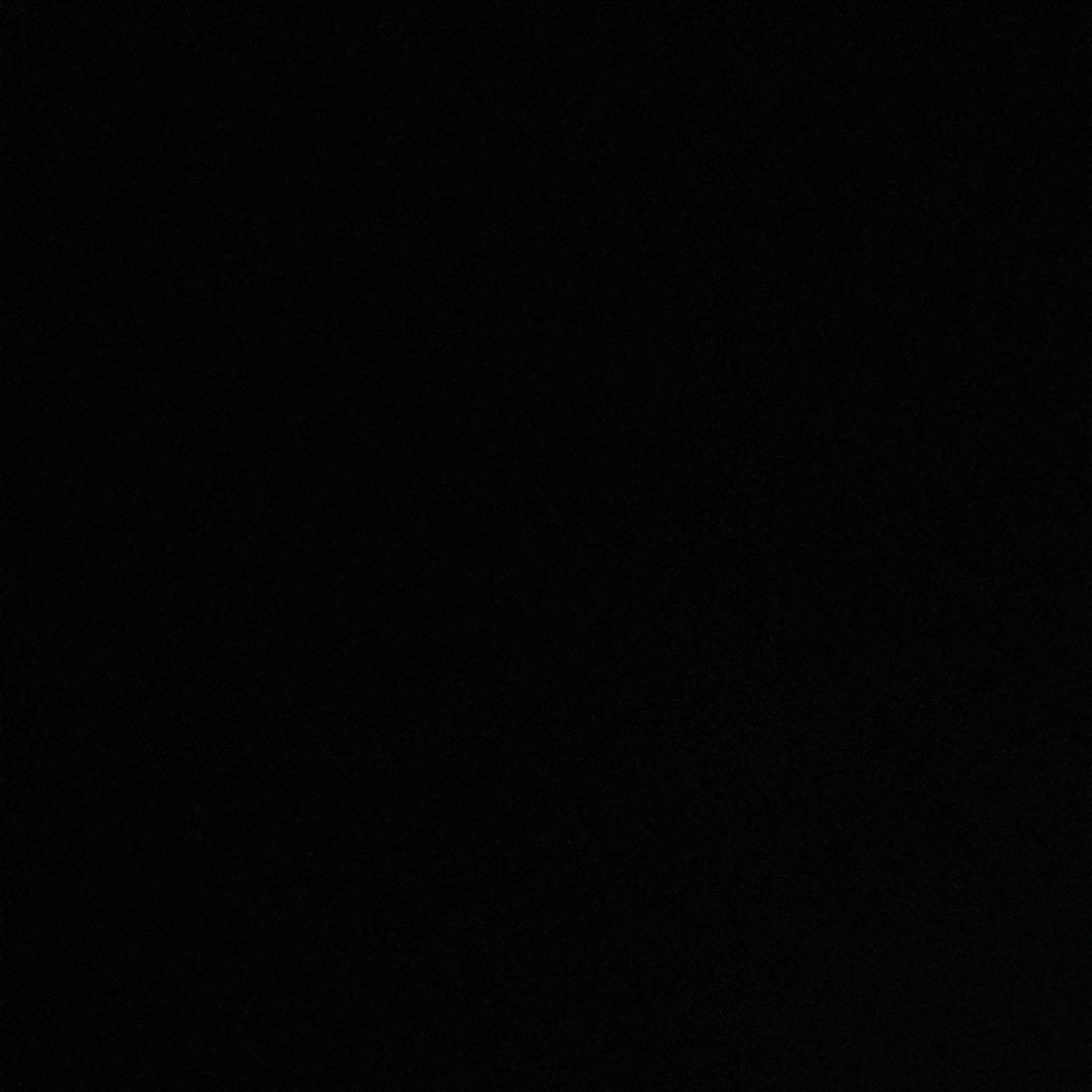 やせねこ様