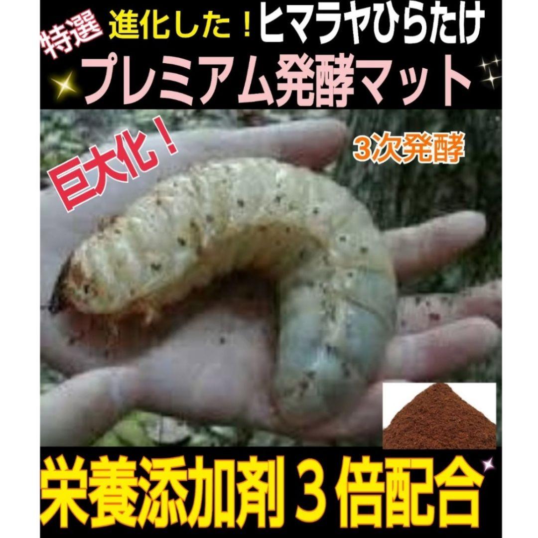 極上！プレミアム3次発酵ヘラクレスマット【80L】特殊アミノ酸強化配合！巨大化！