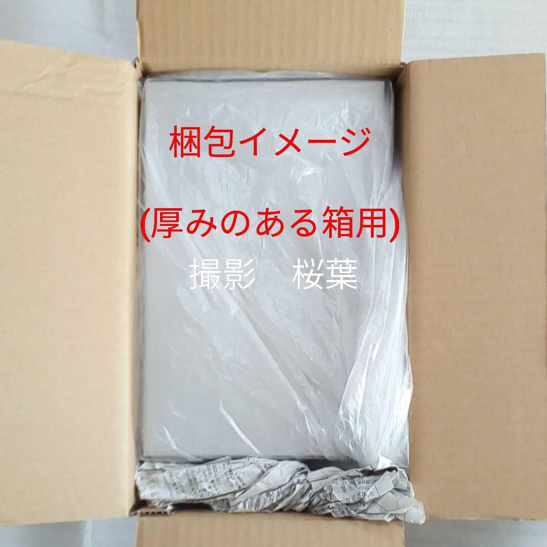 ガンプラ rg ブラスト ソードインパルスガンダムＳｐｅｃＩＩ　内袋未開封