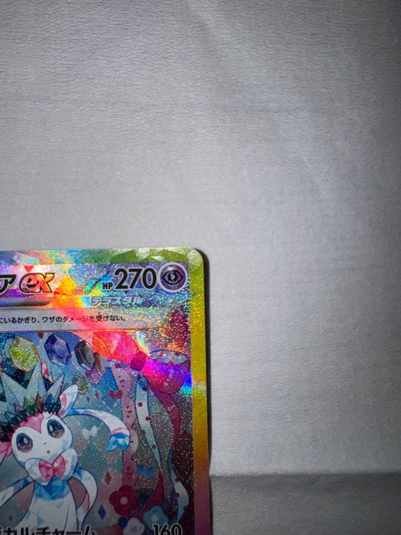 テラスタルフェス　3枚セット　ブラッキー