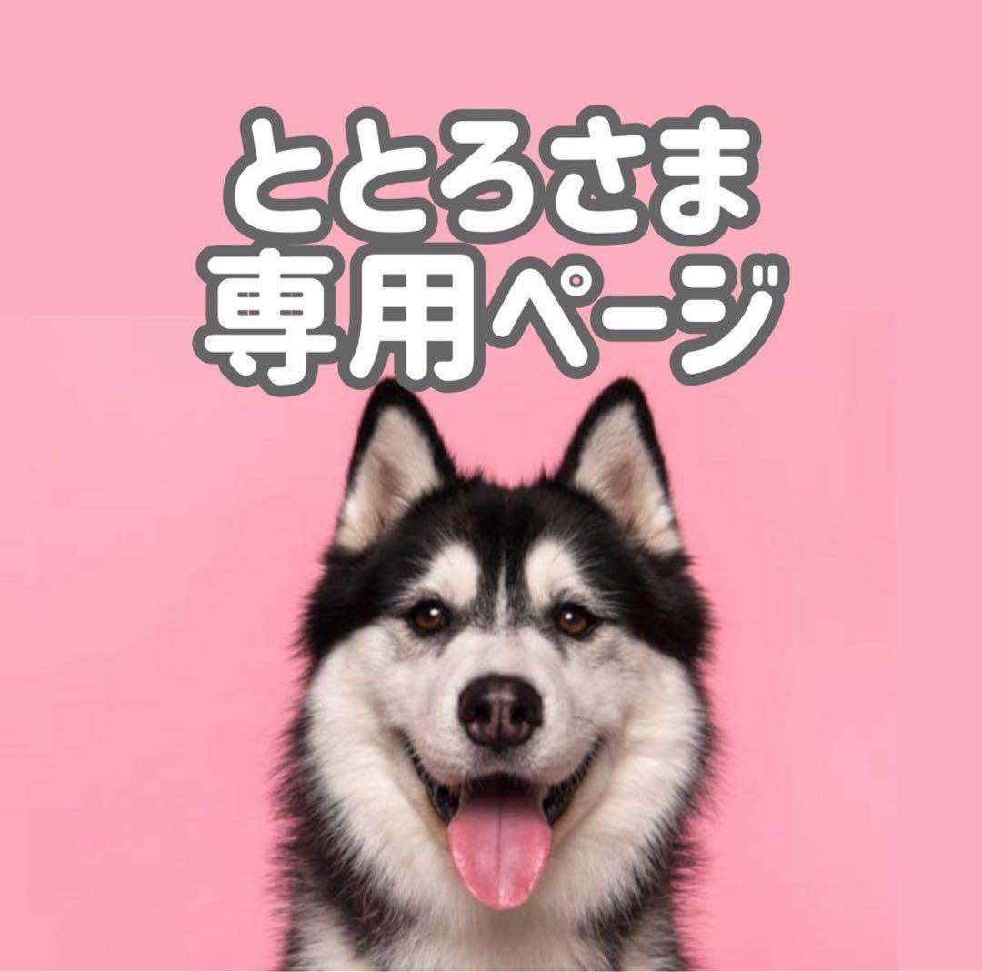 Aラム15◯●ととろページ●◯