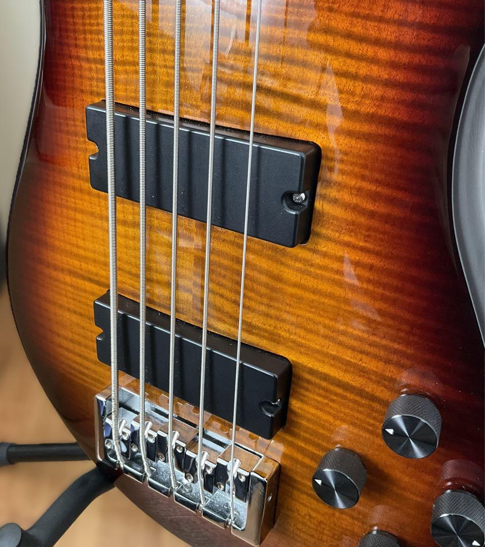 【送料込最終】Spector 5弦ベース【ストラップおまけ】