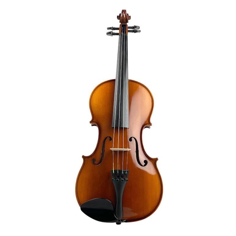 極美品●HORA● Reghin 4/4 ルーマニア製 ホラ レギン バイオリン