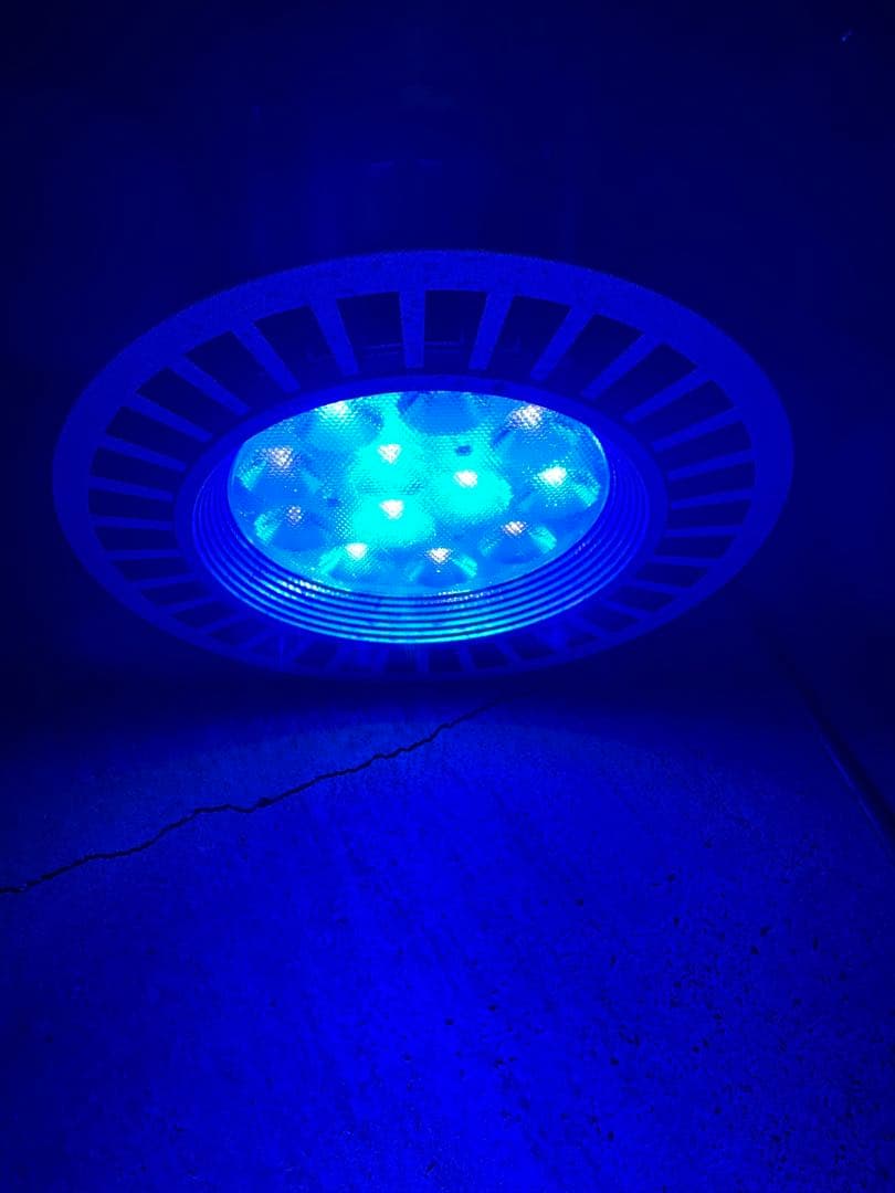 GrassyLeDioRX122 DP×2 RF×1クリップライトセット
