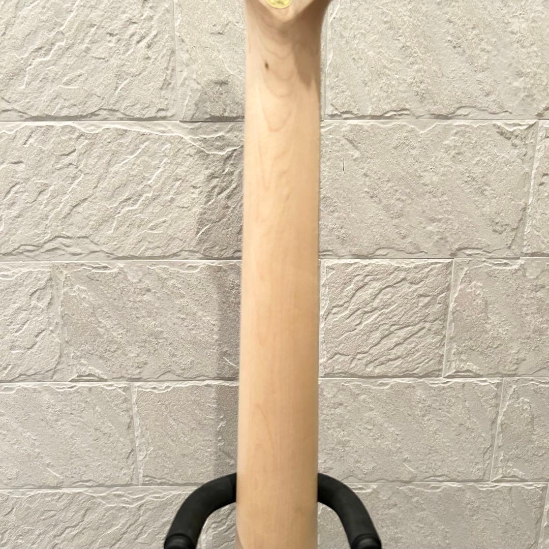 【ほぼ未使用品】SELDER セルダー エレキギター STC-04