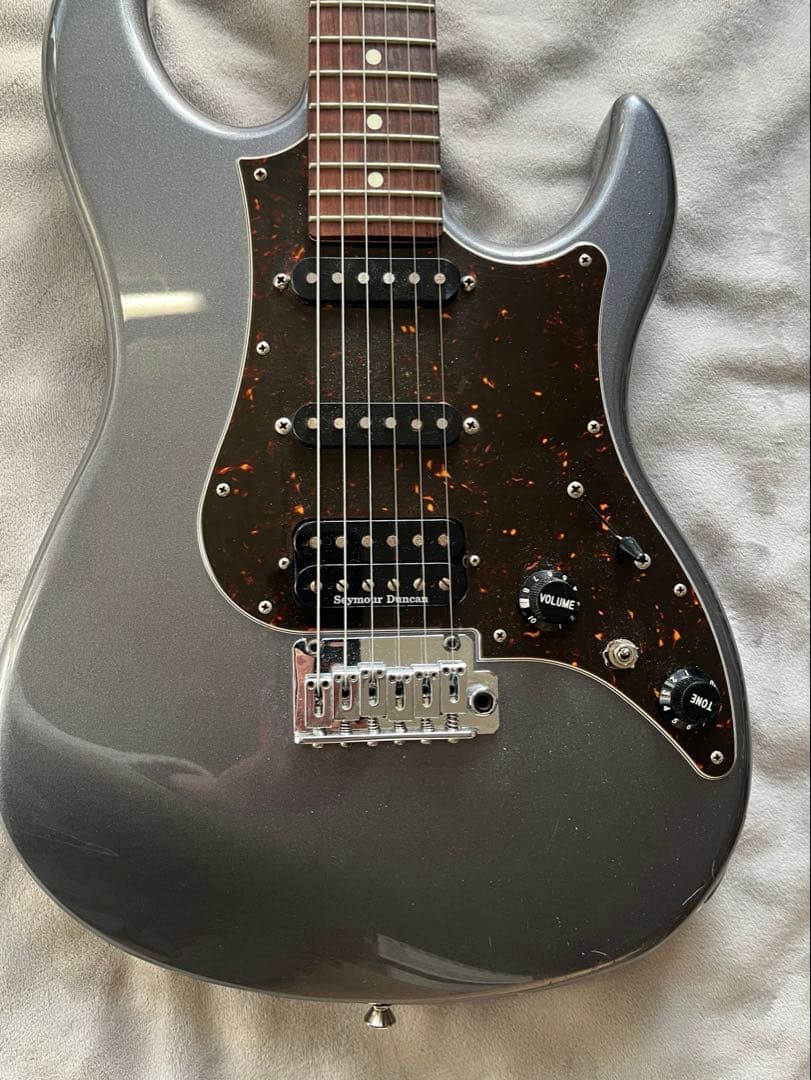 ギター FGN