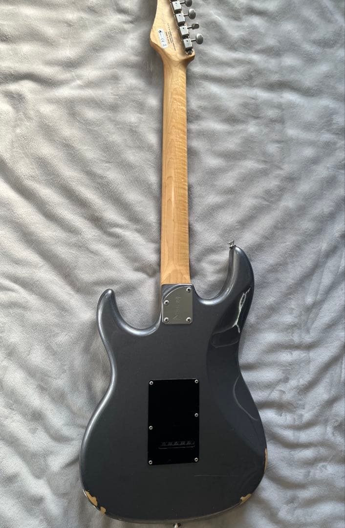ギター FGN