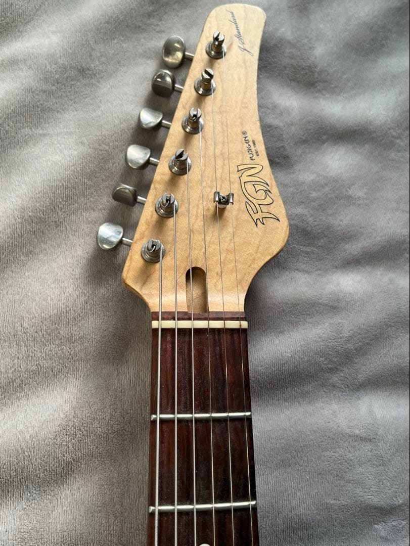 ギター FGN