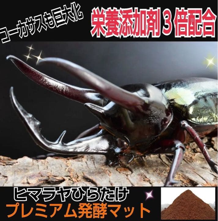 20Lケース付き【2セット】カブトムシ幼虫を入れるだけ！特選プレミアム発酵マット