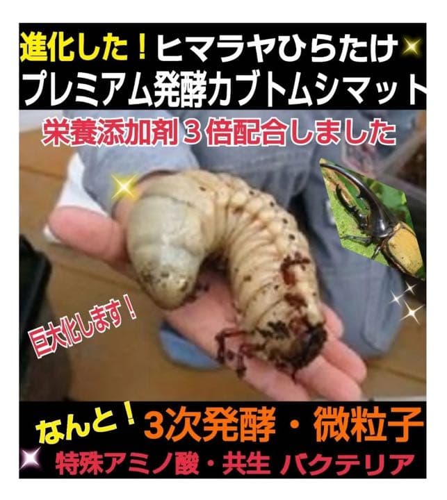 20Lケース付き【2セット】カブトムシ幼虫を入れるだけ！特選プレミアム発酵マット