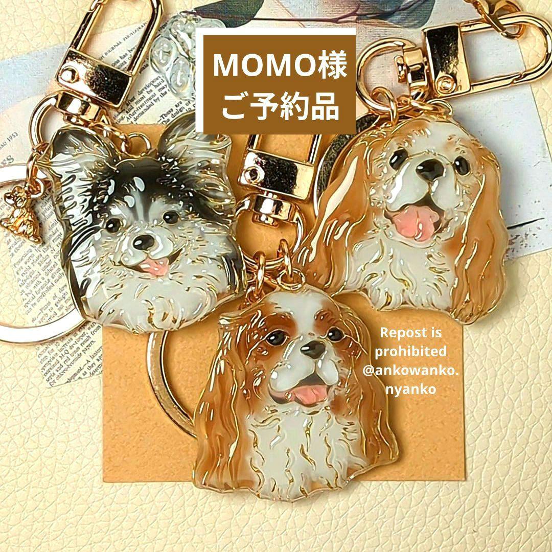 キャバリア　チワワ　愛犬 ankoわんこシリーズ　キーホルダー