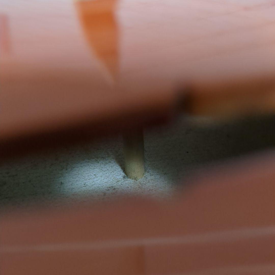 Josef Jan Dvorak 4/4 Violin 160 詳細不明