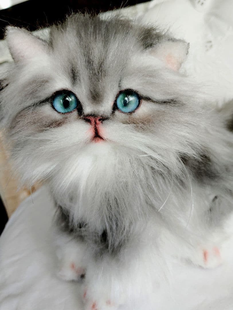 ミヌエット子猫ちゃん♡美人さん♡アートドール♡ぬいぐるみ♡大きめサイズ♡