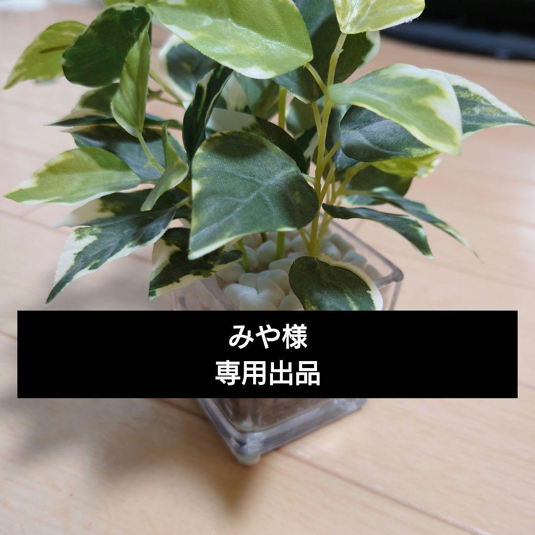 みや