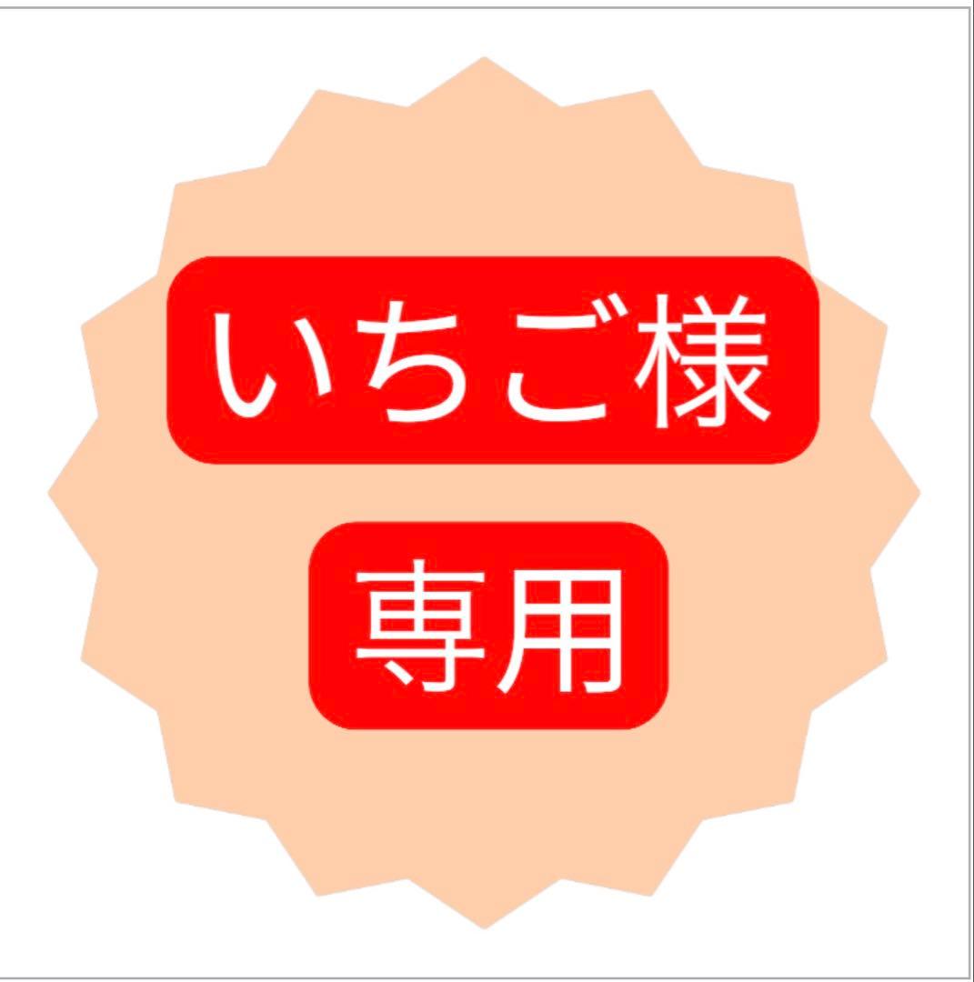 いちご様 リクエスト 2点 まとめ商品