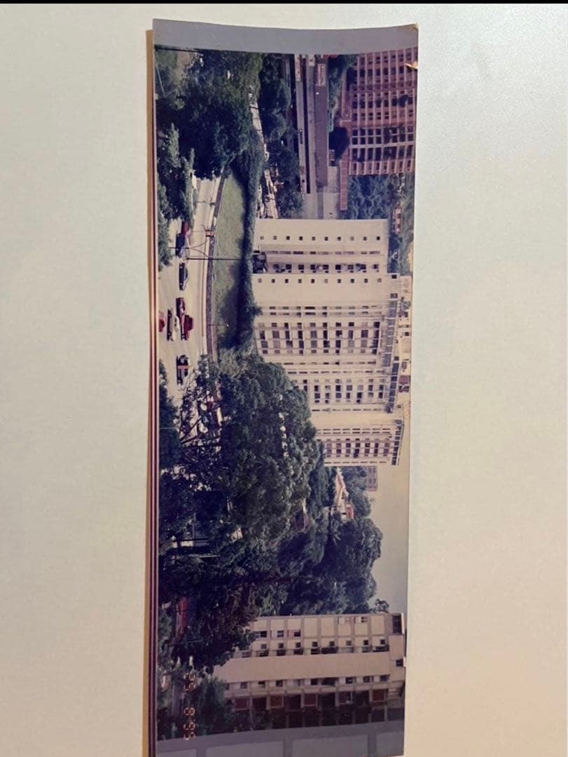 Ninja Labs スマホケース iPhone17 Pro Max パープル