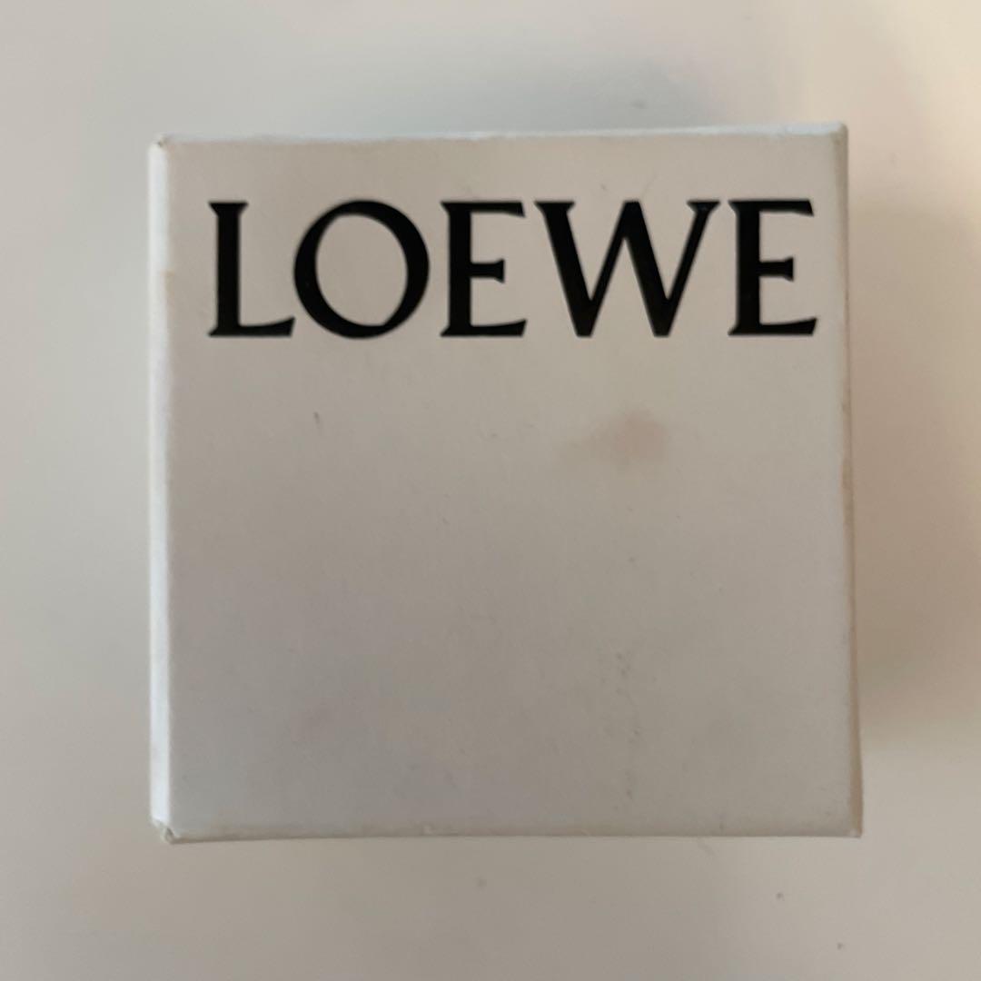 【本物】ロエベ　アナグラムブローチ　マルチカラー