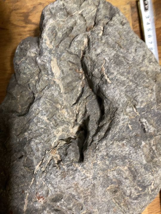 八海石　ADA アクアリウム　特大　水石　石組　盆石