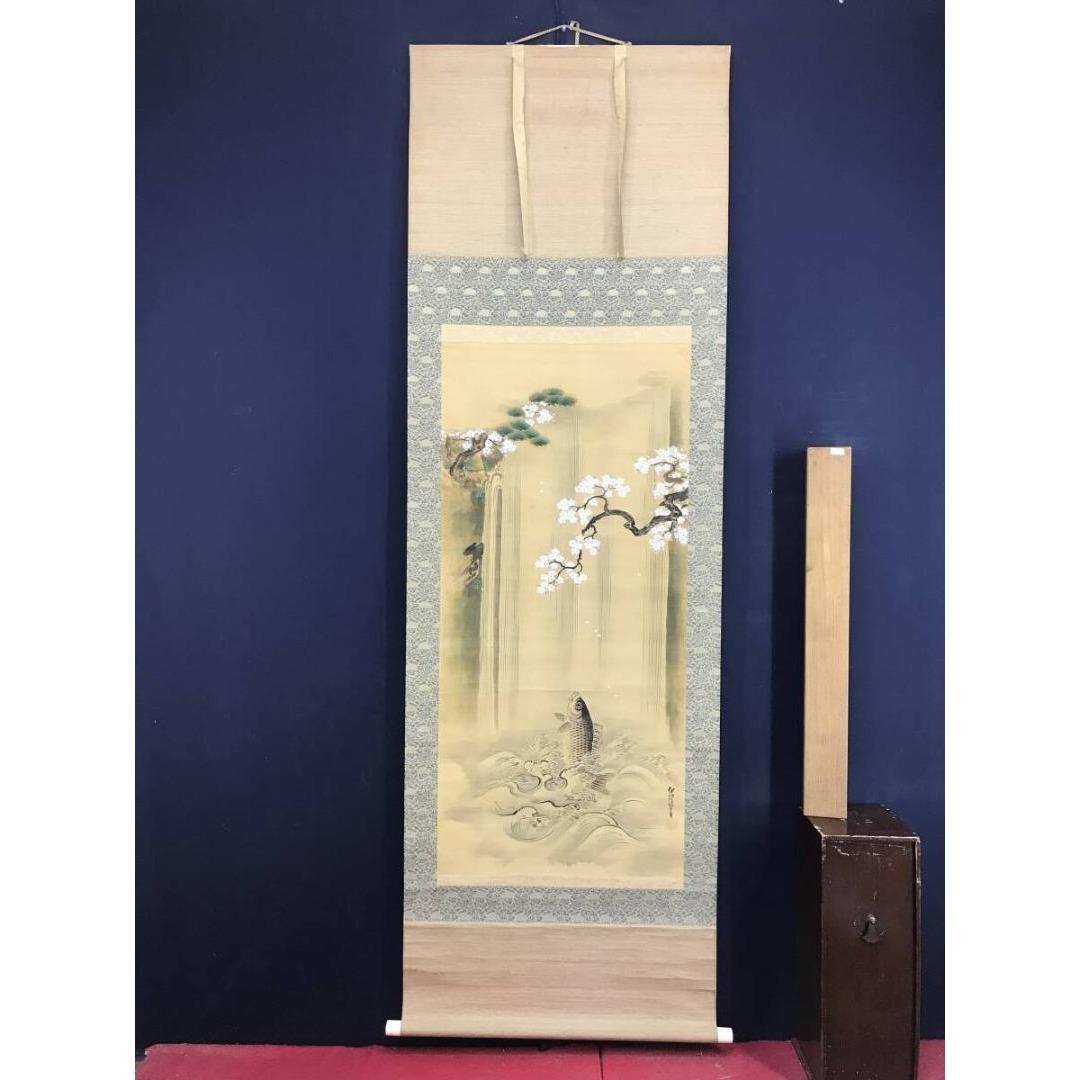 真作/狩野伊川院/滝昇鯉図/桜図/鯉図/コイ図/掛軸☆宝船☆AK-309