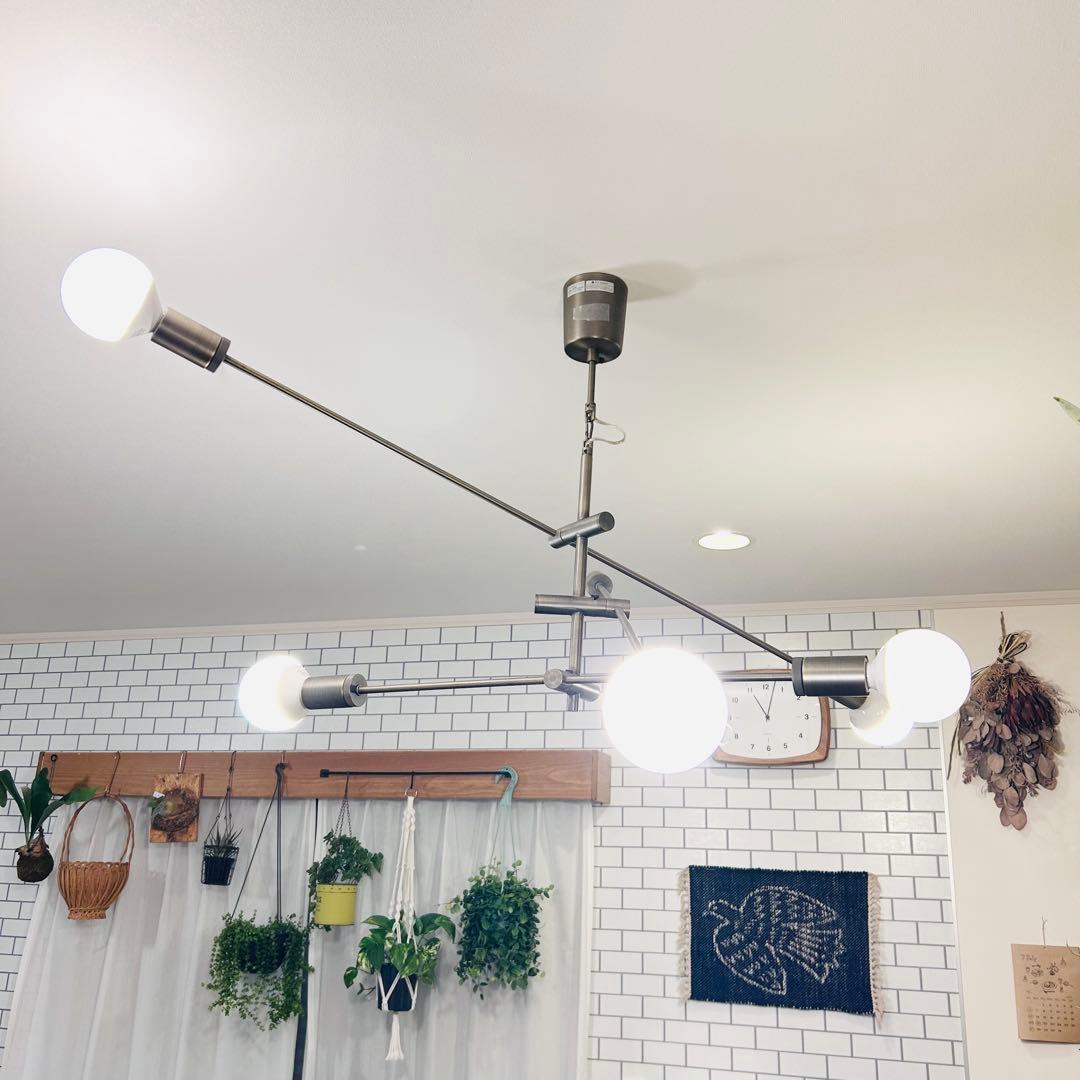 DI CLASSE Cardinal 6灯 ペンダントライト