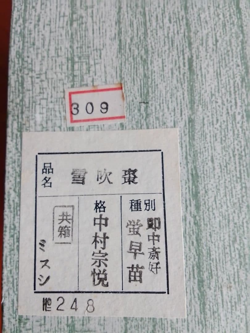 茶入れ 棗 茶道具 中村宗悦 雪吹棗 未使用品 003