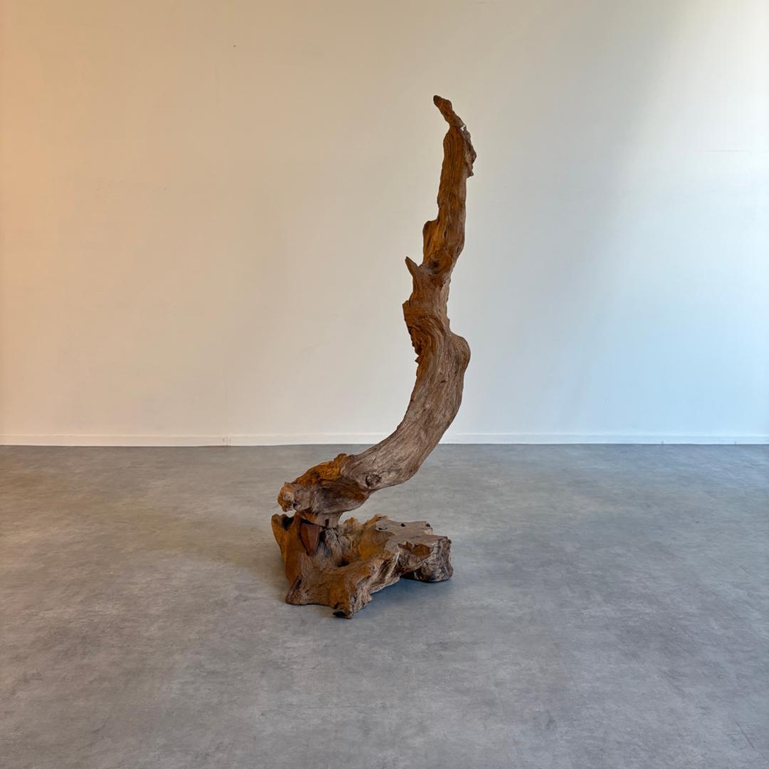 御神木　アート　インテリア　生花　オブジェ