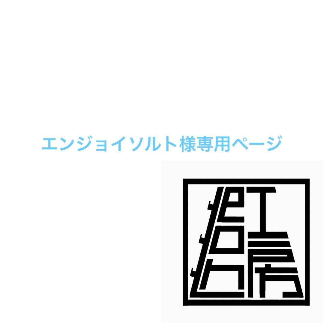 エンジョイソルトページ