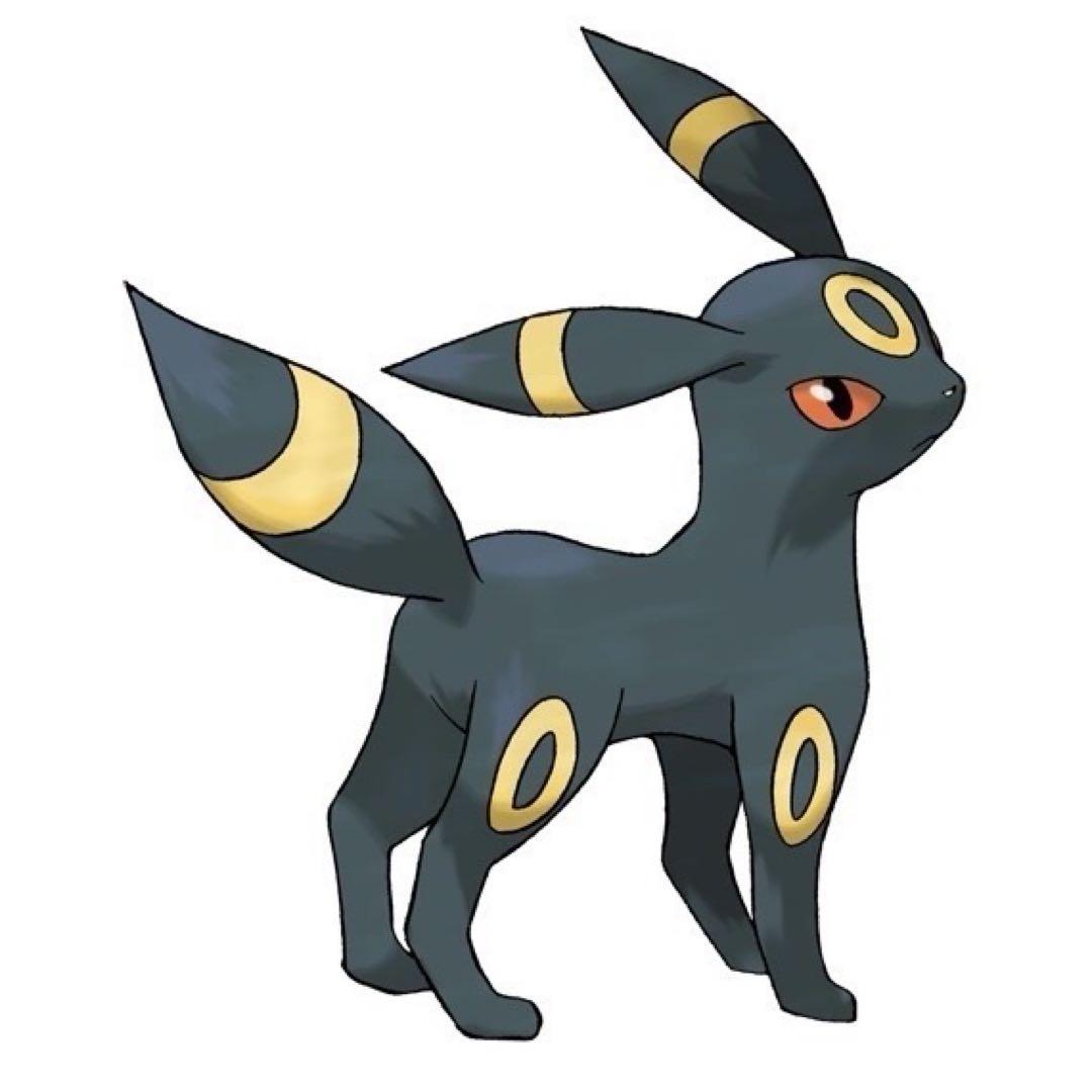 まるで等身大 ブラッキー 80cm ぬいぐるみ ポケットモンスター ポケモン