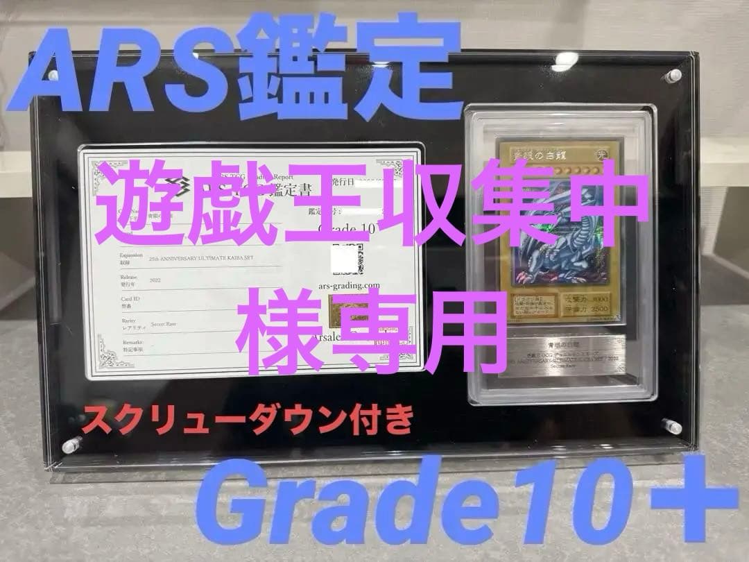 遊戯王収集中