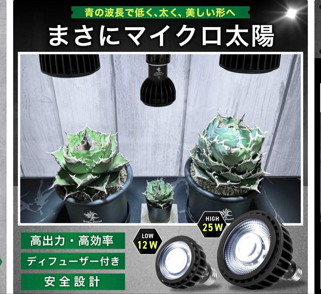 植物育成ライトLED怪獣ビーム12wソケット付き3個セット
