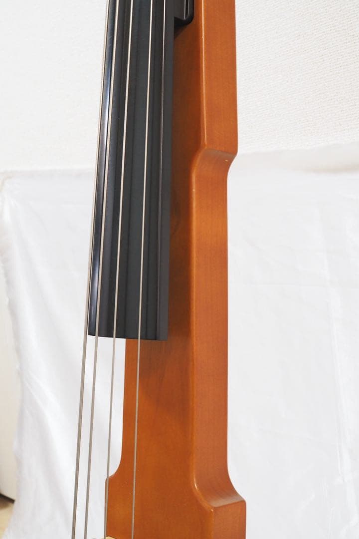 Aria SWB アリア エレクトリックアップライトベース アクティブベース