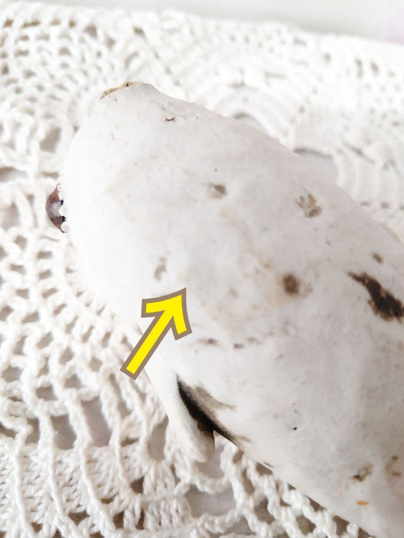 【陶芸家作品】マラカスぼうや◆陶芸◆ミヤチヤスヨ 作