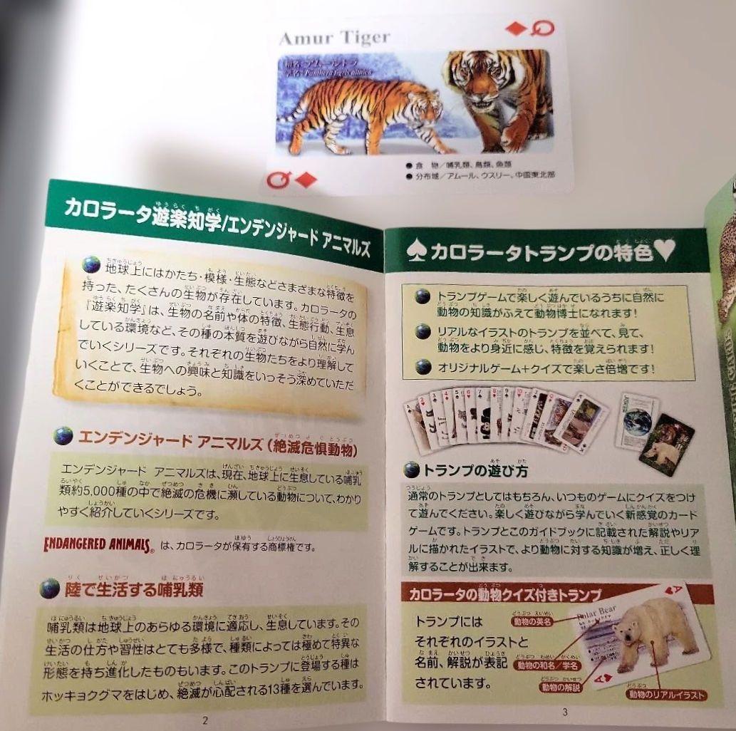 aki0117カードゲームいろいろ