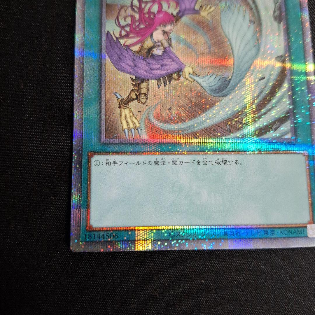 遊戯王　ハーピィの羽根帚　25thシク　絵違い