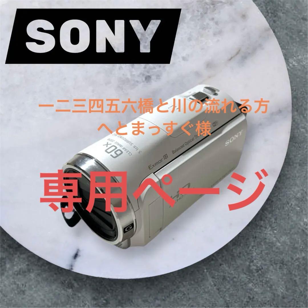 SONY ハンディカム ビデオカメラ　運動会　発表会　大会