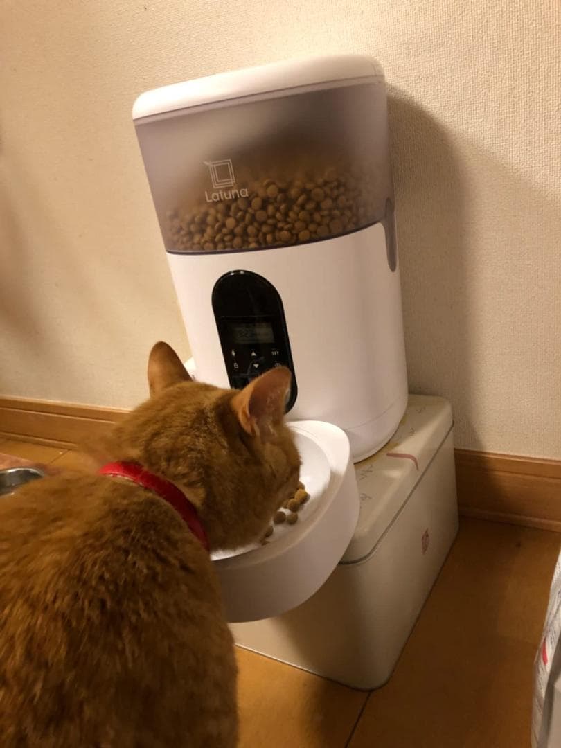 【小動物看護士監修】 自動給餌器 猫 餌 小動物用 自動餌やり機 給餌器 犬 [