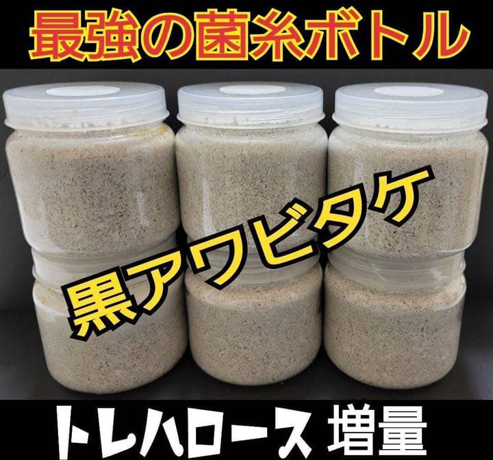 極上！黒アワビタケ菌糸瓶【7本】初令、2令に最適なサイズ！ニジイロクワガタに！