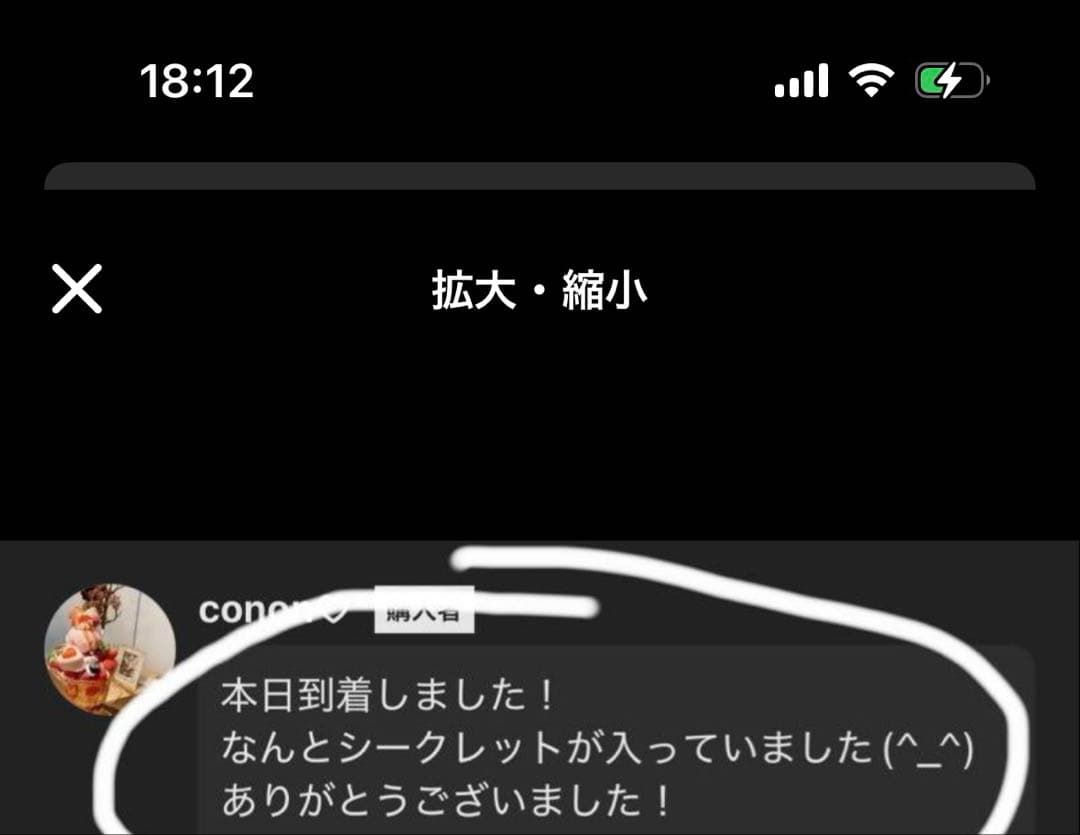 【正規品・未開封】 Big into Energy 2箱 ラブブ