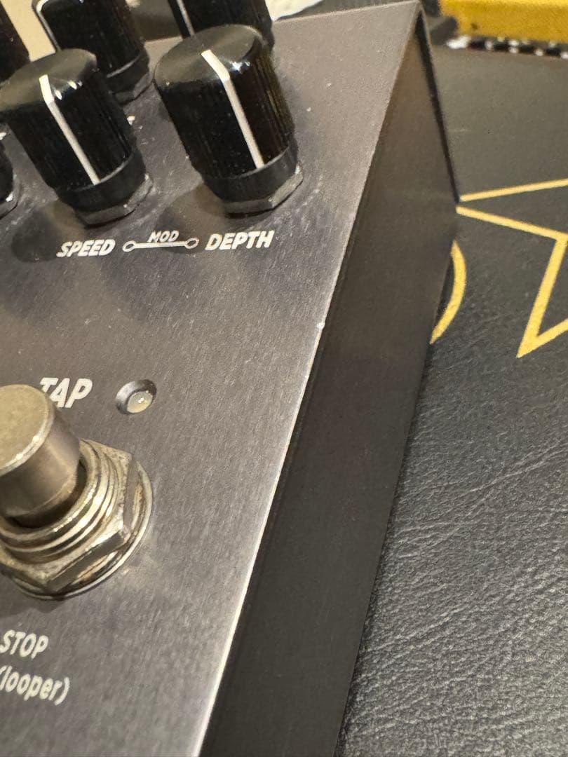 ストライモン Strymon Timeline