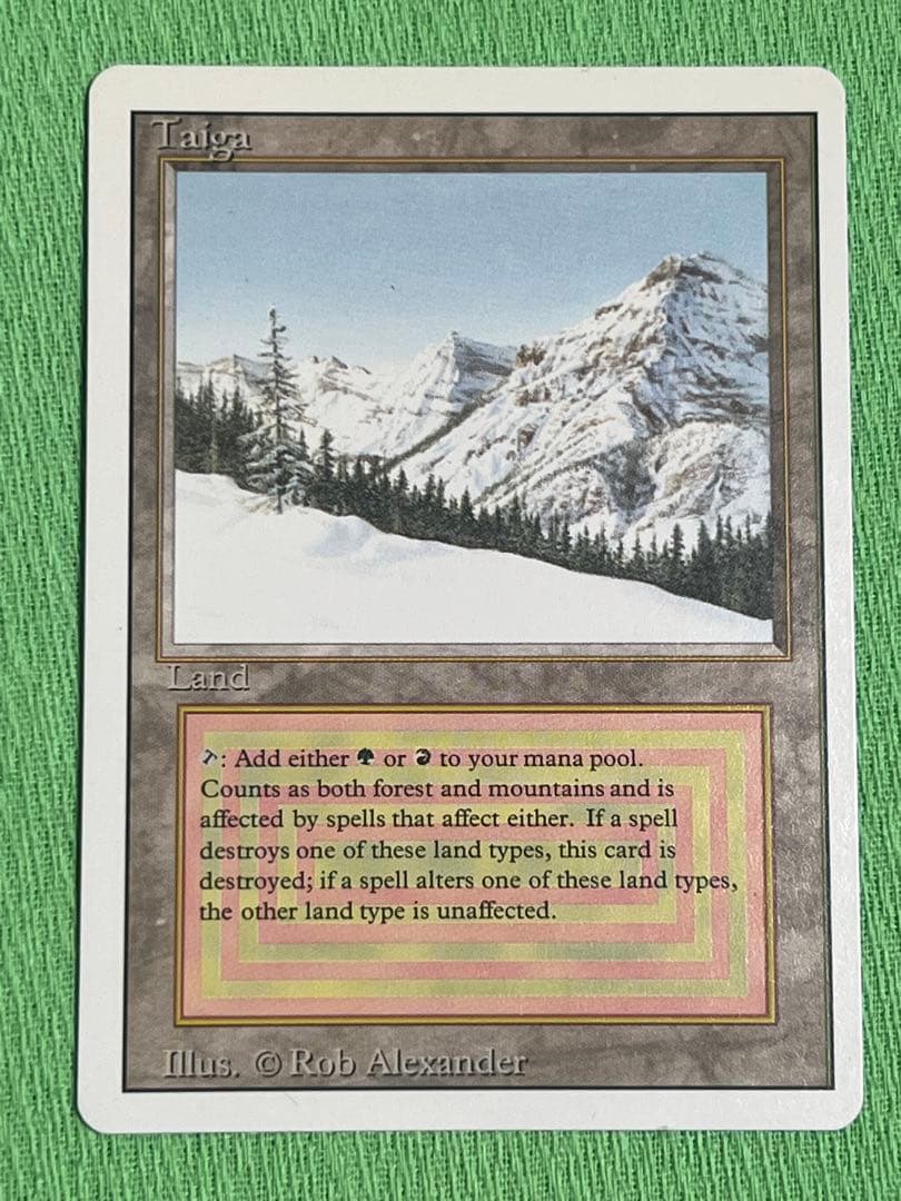マジック：ザ・ギャザリング MTG Taiga