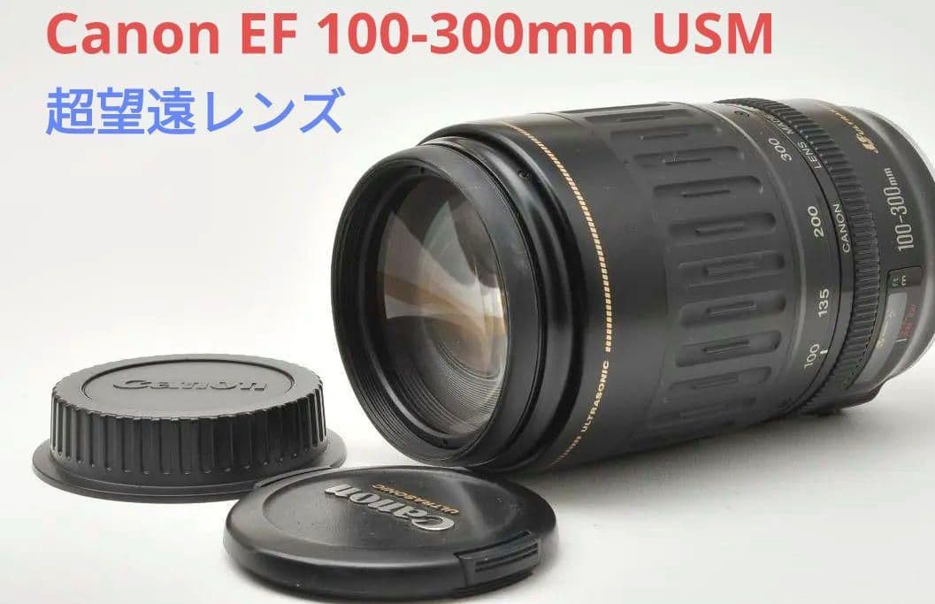 9月21日限定価格♪Canon EF 100-300mm USM