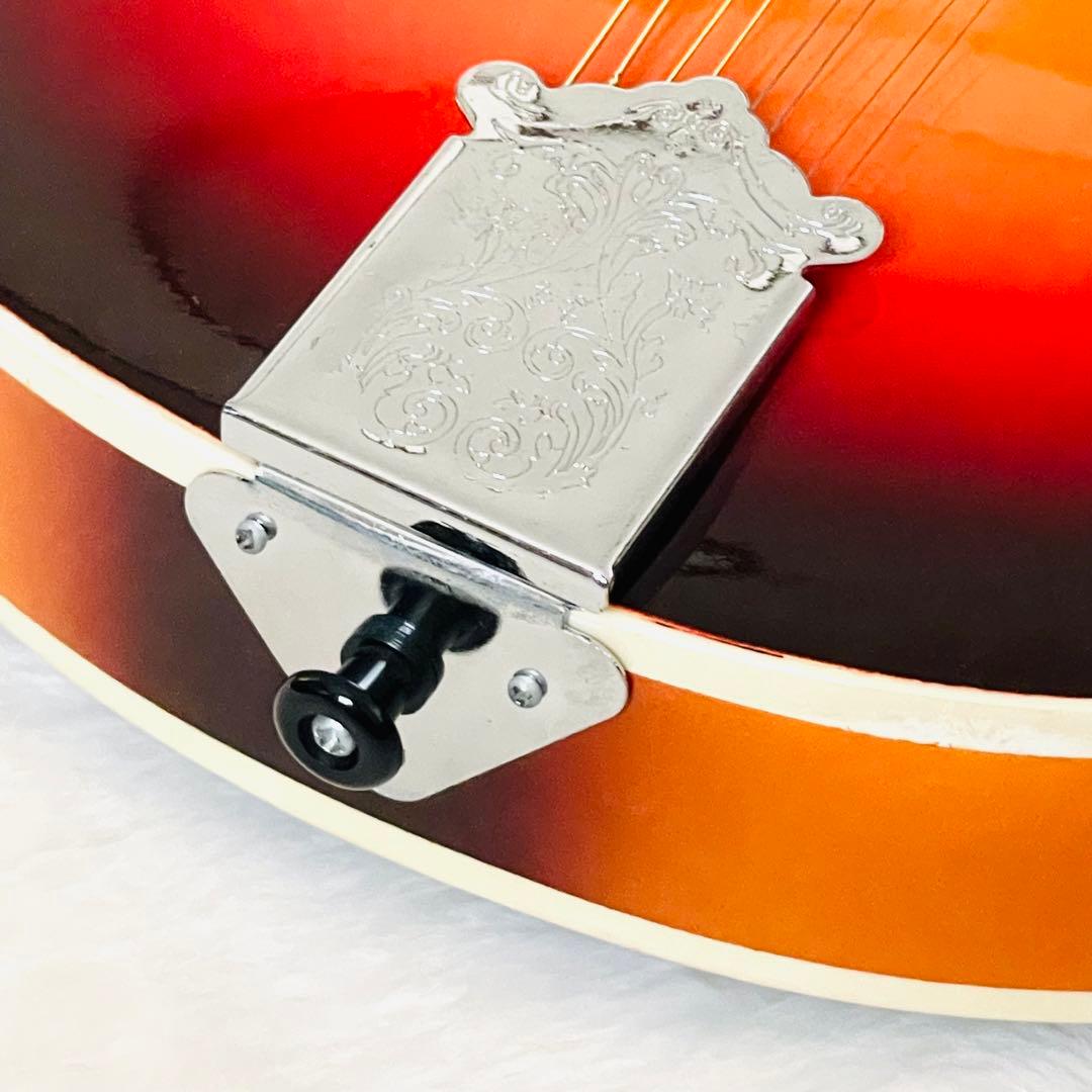 【激安】 マンドリン 8 弦 F ホール マンドリン バスウッド キ