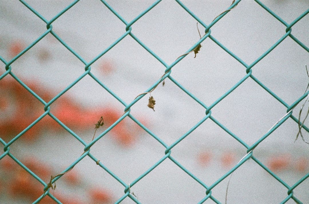 改良版シャッタースピードテスター（35mmフイルムカメラ用／光源ライト付き