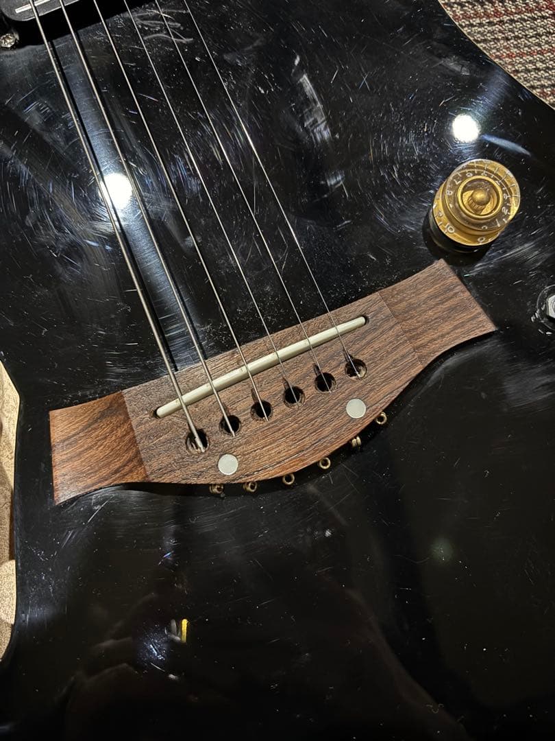 アコスタニック？　テレキャスター