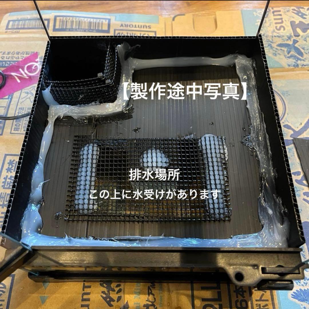 【値下げしました】レイアウト水槽 イモリウム カエルリウム