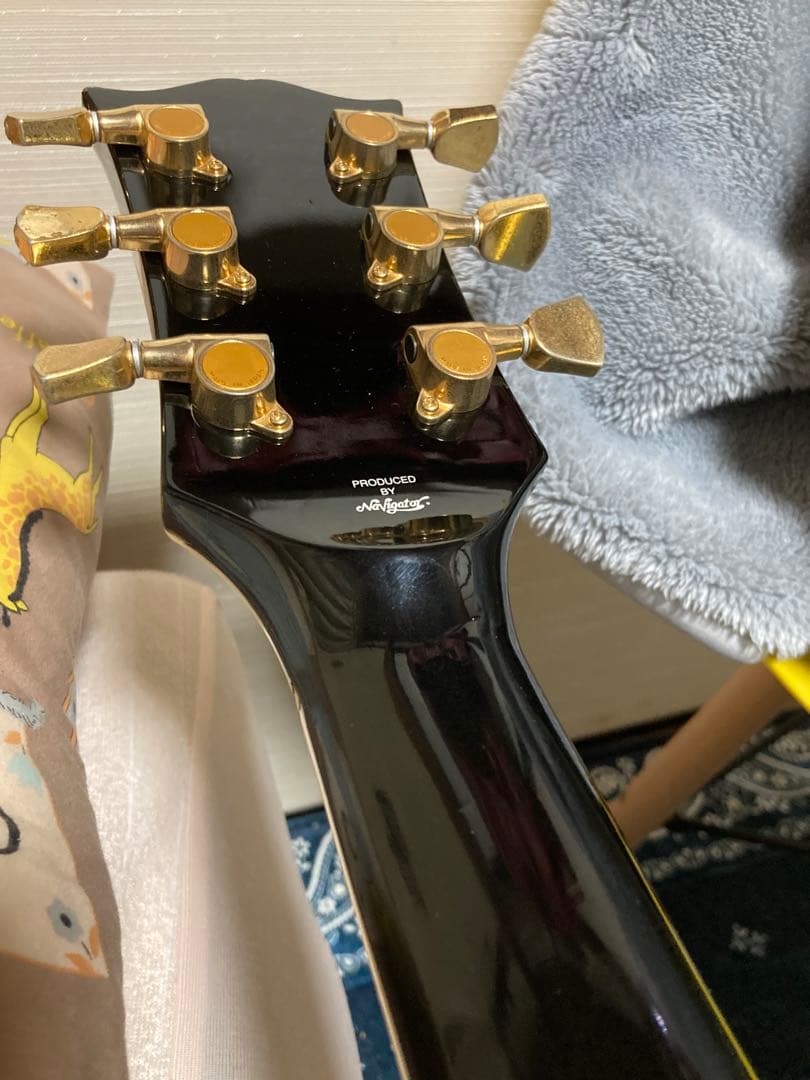 EDWARDS PRODUCED BY Navigator レスポールカスタム