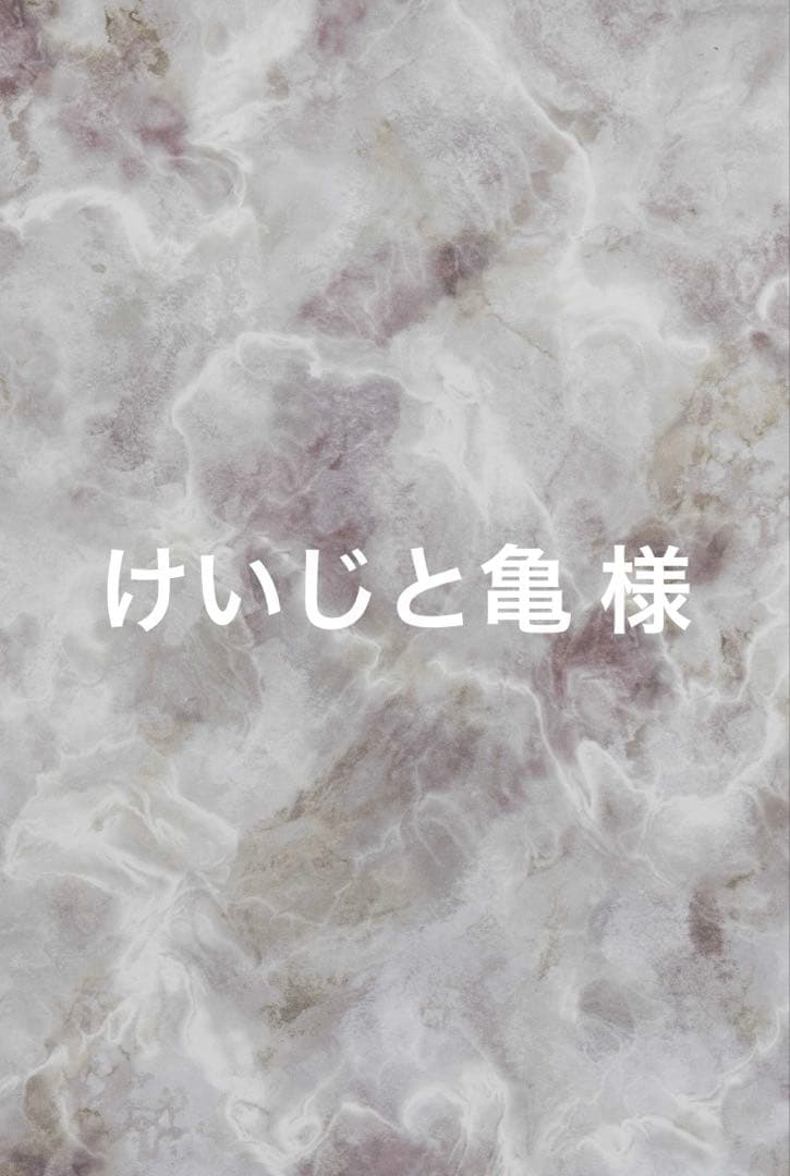 けいじと亀 