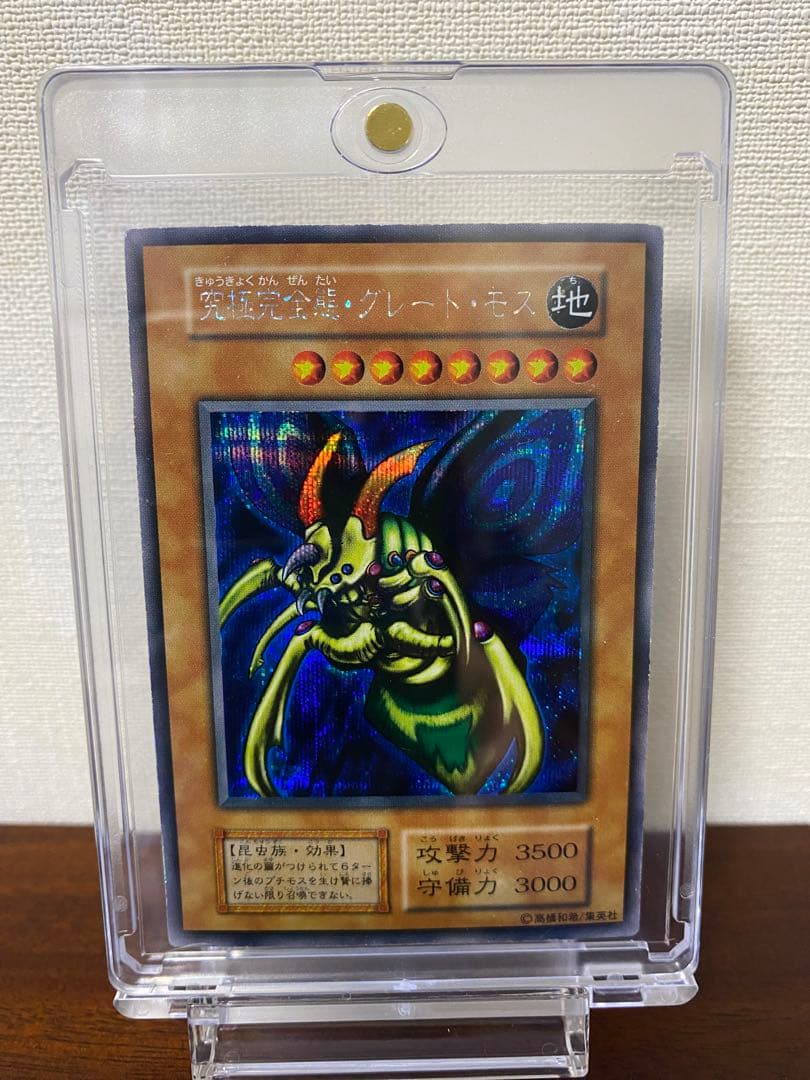 ケイティオン