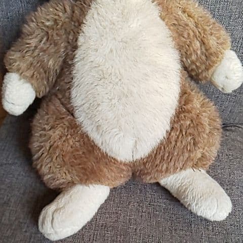 #わちふぃ－るど#ダヤンぬいぐるみ